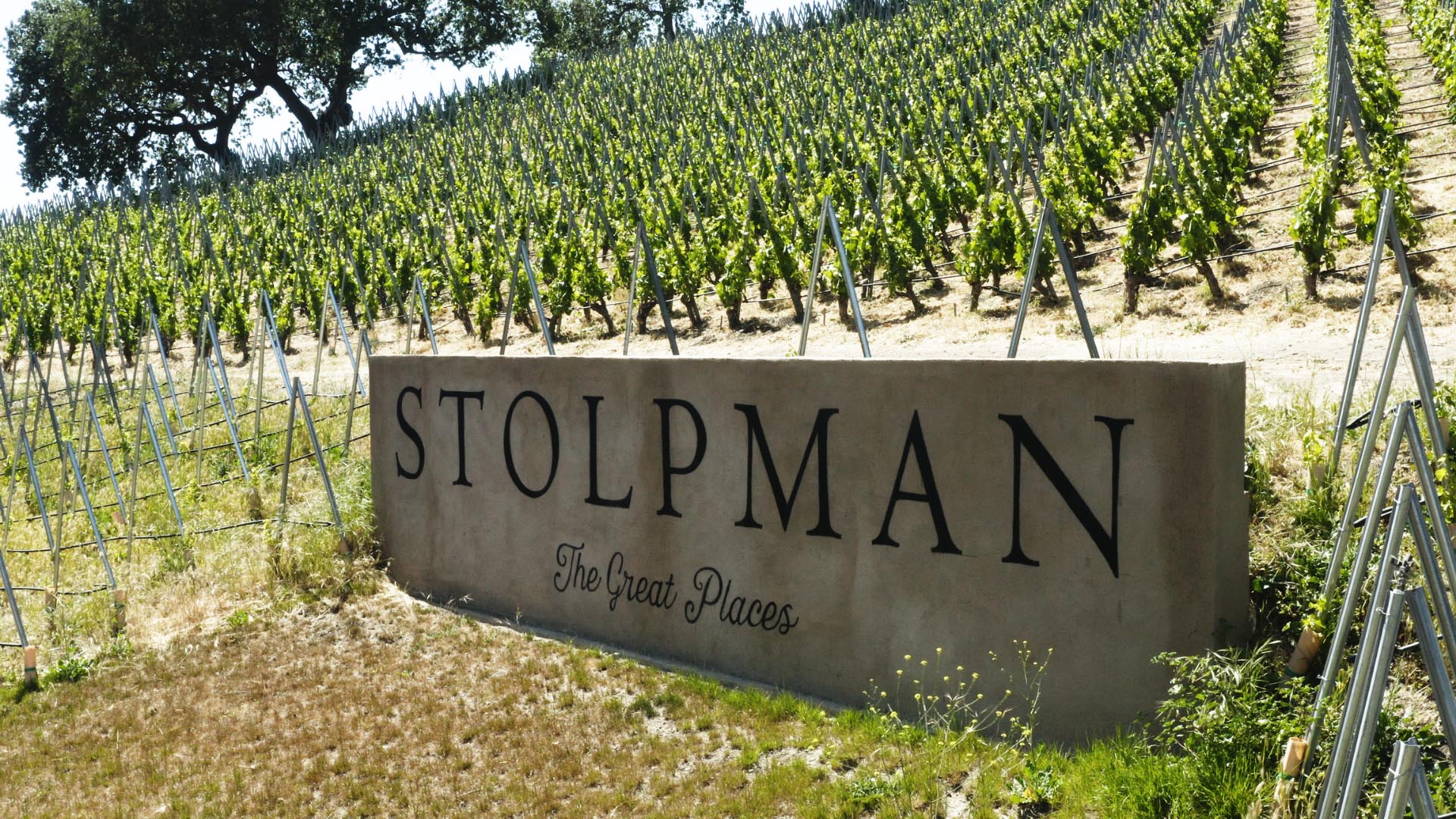 Vineyard Road Day 1-Stolpman Estate Syrah