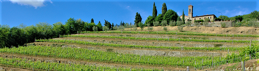 High-Elevation Chianti Classico, I Fabbri