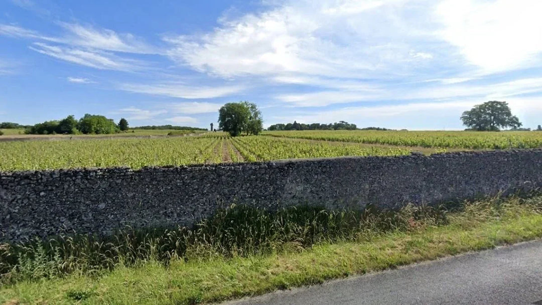 A Gordon’s Fave, Declassified Vouvray Master