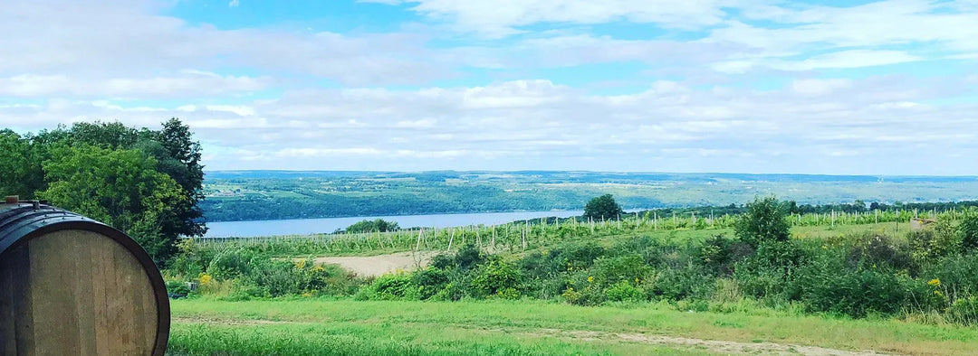 Bone-Dry, Mineral, and Distinctly Finger Lakes