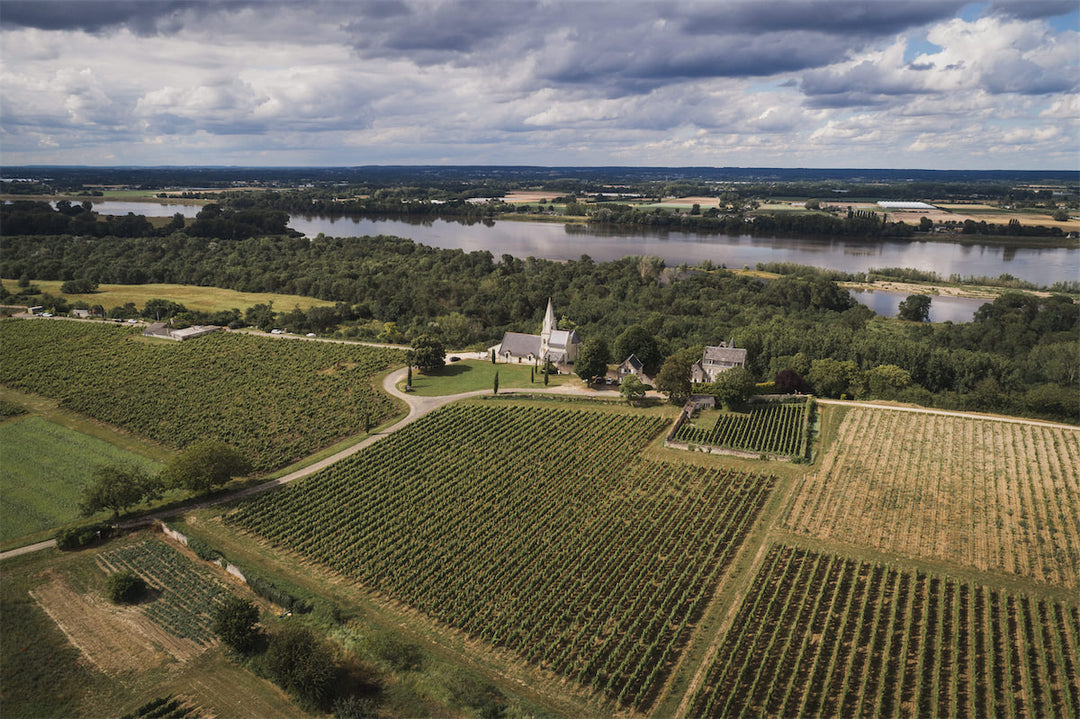 Cabernet Franc for Drinking, not Collecting
