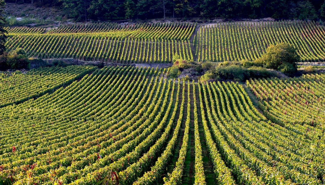 En Primeur Price, 2020 Poujeaux