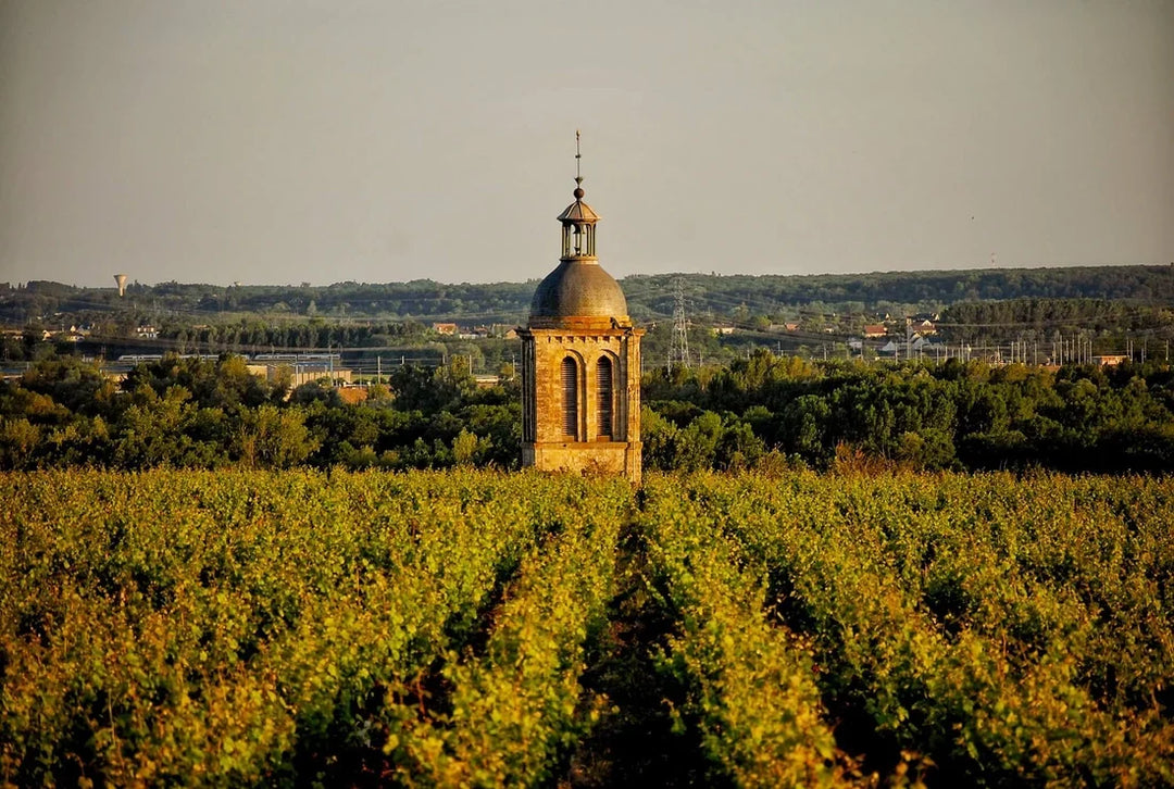 Classic Vouvray, Case Buy Alert!