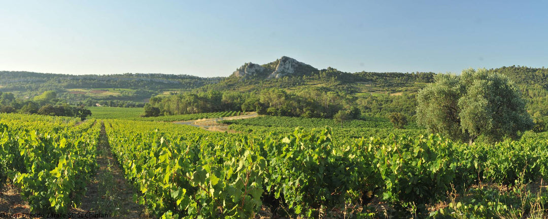 Louis/Dressner Day 4: The Eternal Child of the Languedoc