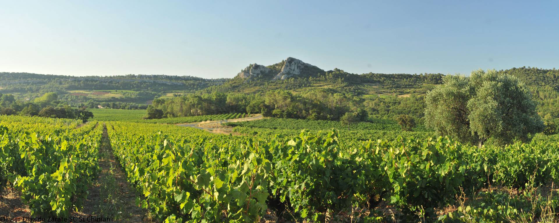 Louis/Dressner Day 4: The Eternal Child of the Languedoc