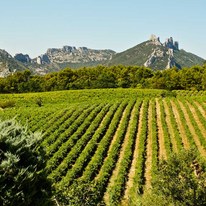Neyers & Kermit Lynch Wine Dinner: A California Ode to the Old World