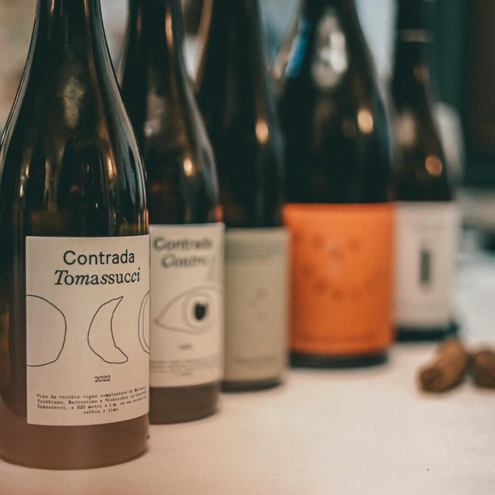 Italy's Rising Stars: Marche's Contrada Contro & Piedmont's Vaira Aurelj