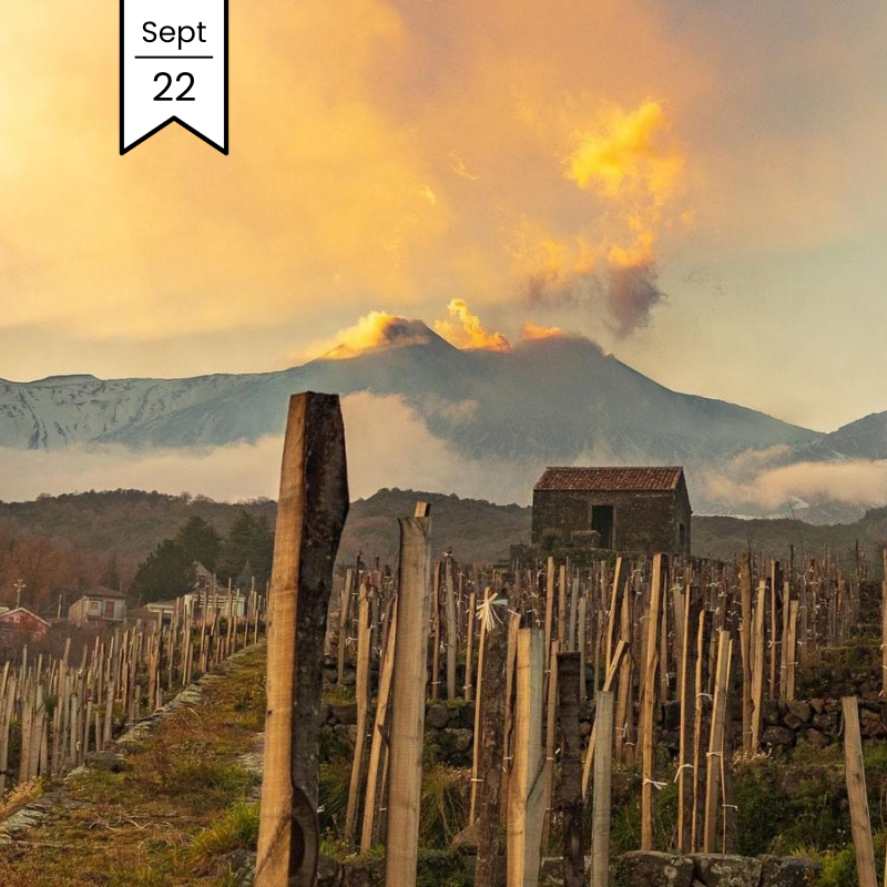 Etna Winemaker MasterClass with Antonio Benanti