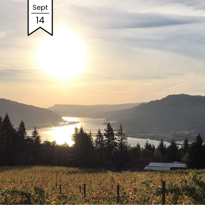 Washington State Wine MasterClass