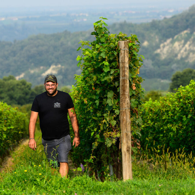 Italy's Rising Stars: Marche's Contrada Contro & Piedmont's Vaira Aurelj