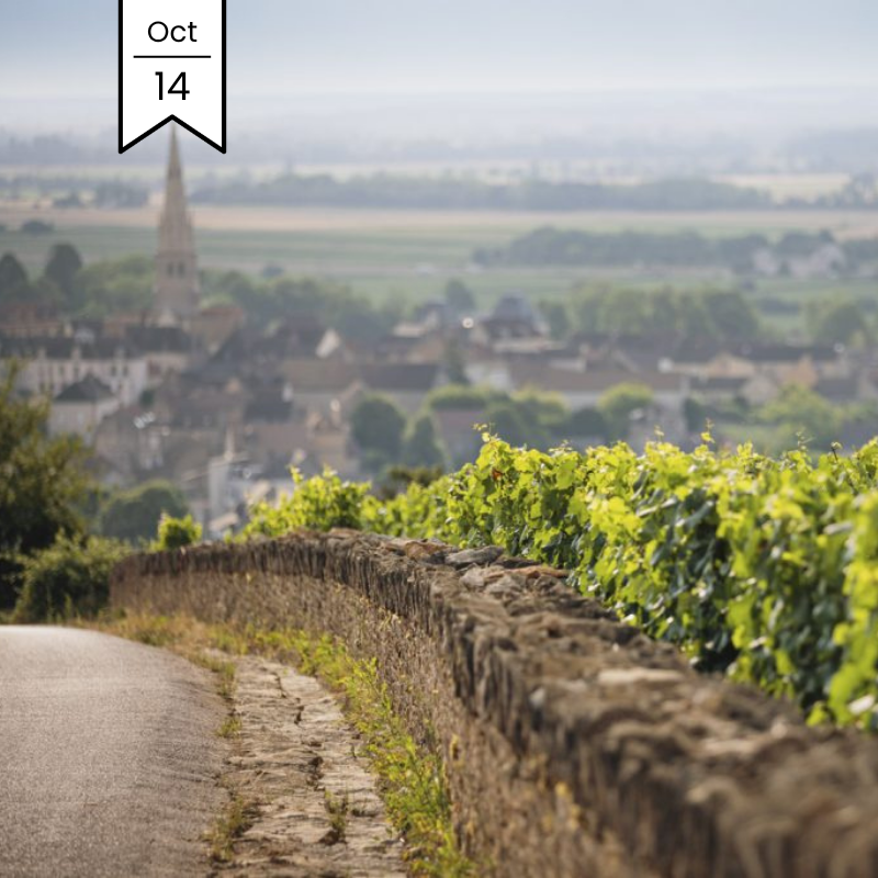 Tour de Cote D'Or MasterClass