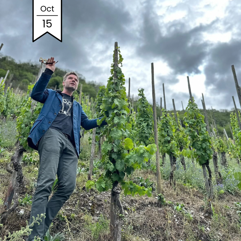 Riesling MasterClass feat. Vom Boden's Stephen Bitterolf