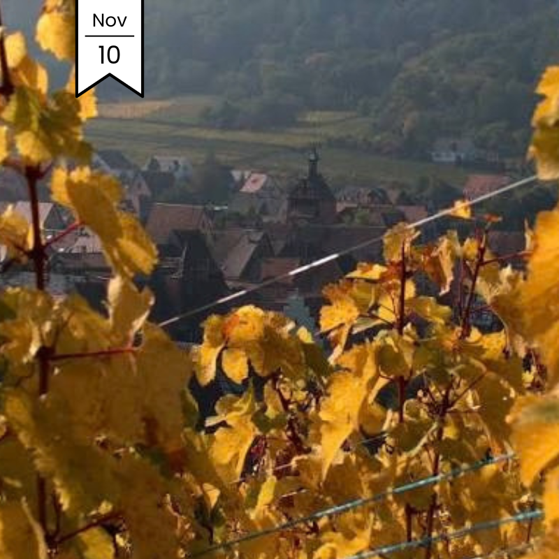 Alsace MasterClass with Famille Hugel