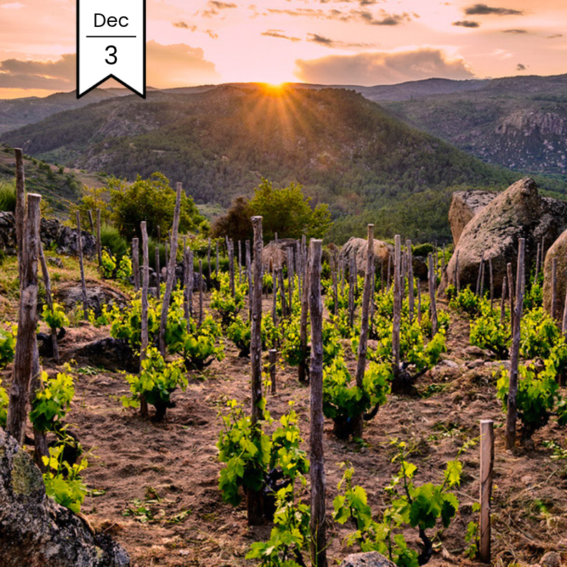 Vuelta a España MasterClass: Icons & Rising Stars