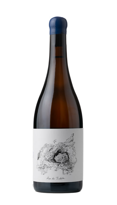 Anna Espelt Pla De Tudela Garnacha Blanca 2019 750ml