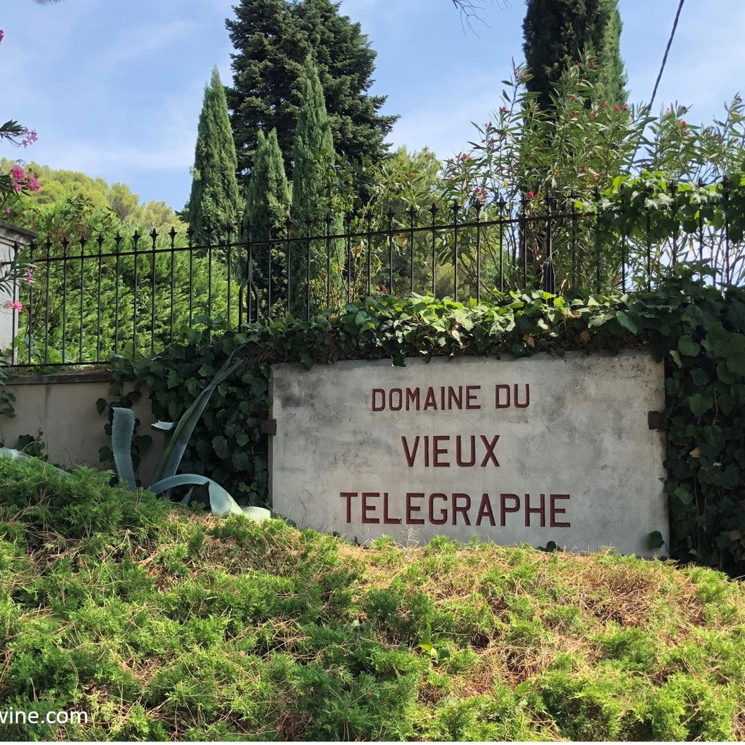 Chateauneuf Winemaker Walk-Around with Nicolas Brunier from Vieux Télégraphe