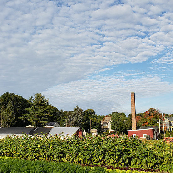 Farm to Vine Dinner feat. King Estate & Gary Farrell Winery
