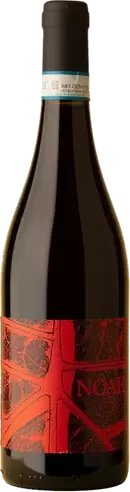 Noah “Rosso Noah” Coste della Sesia Rosso - 4000 Wines, 3500 ...