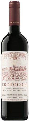 Dominio de Eguren 'Protocolo' Tinto