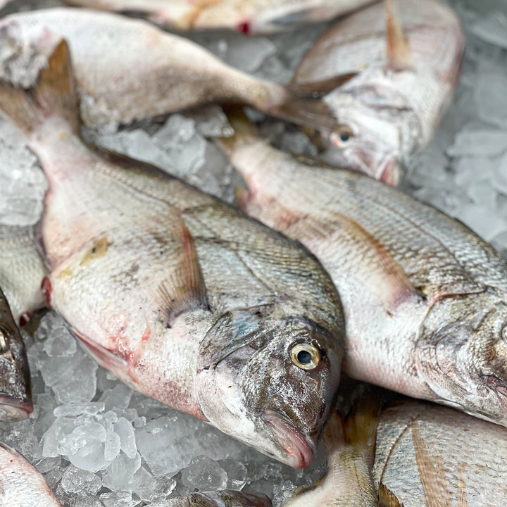 Coast to Côte: A New England Seafood & Champagne Affair